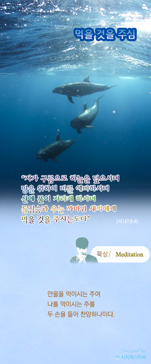 큐티/
