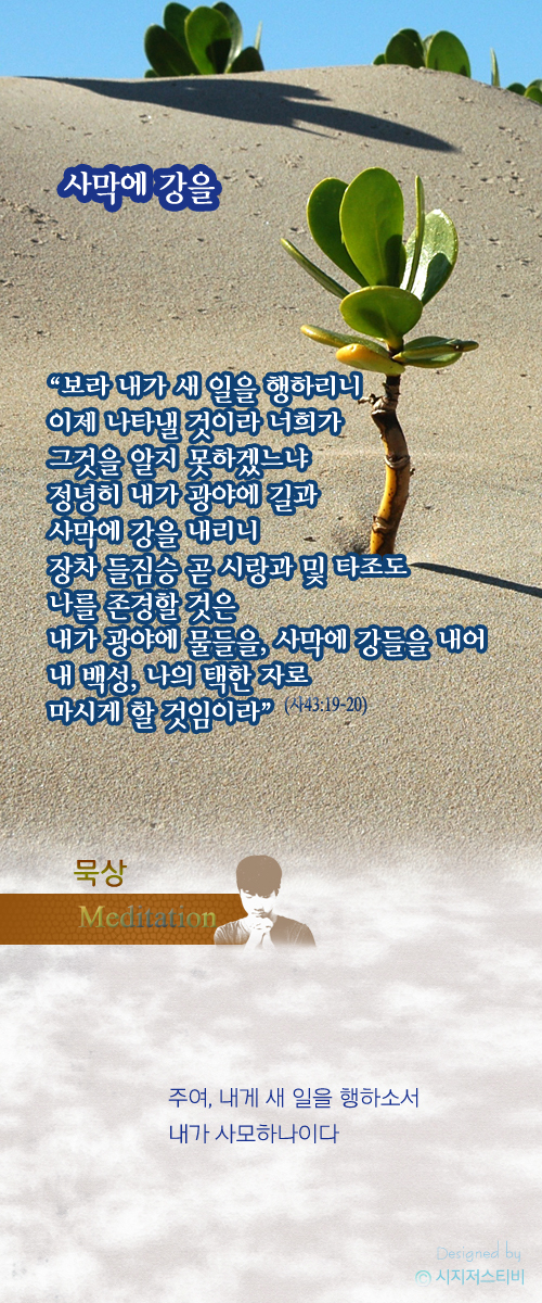 큐티/