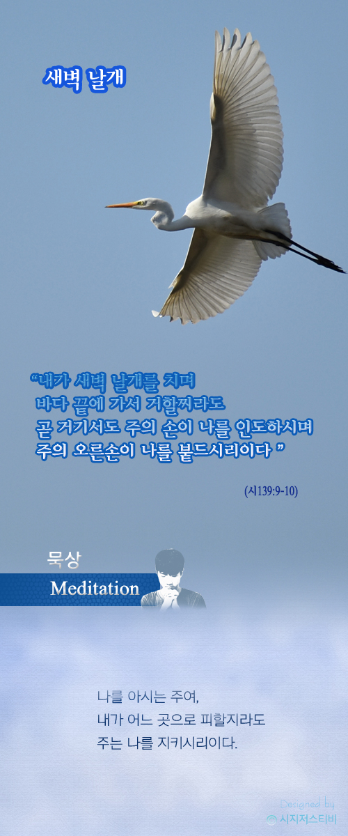 큐티/